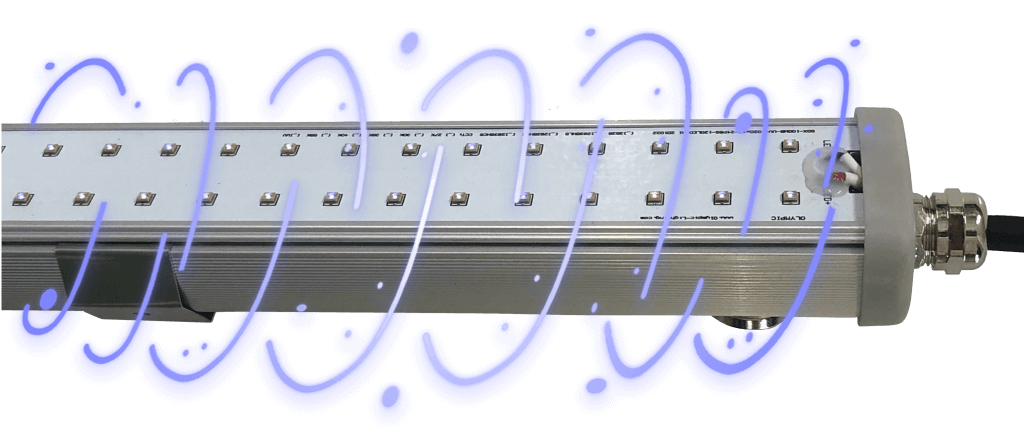 Olympia's UVC disinfection lighting with decorative swirls